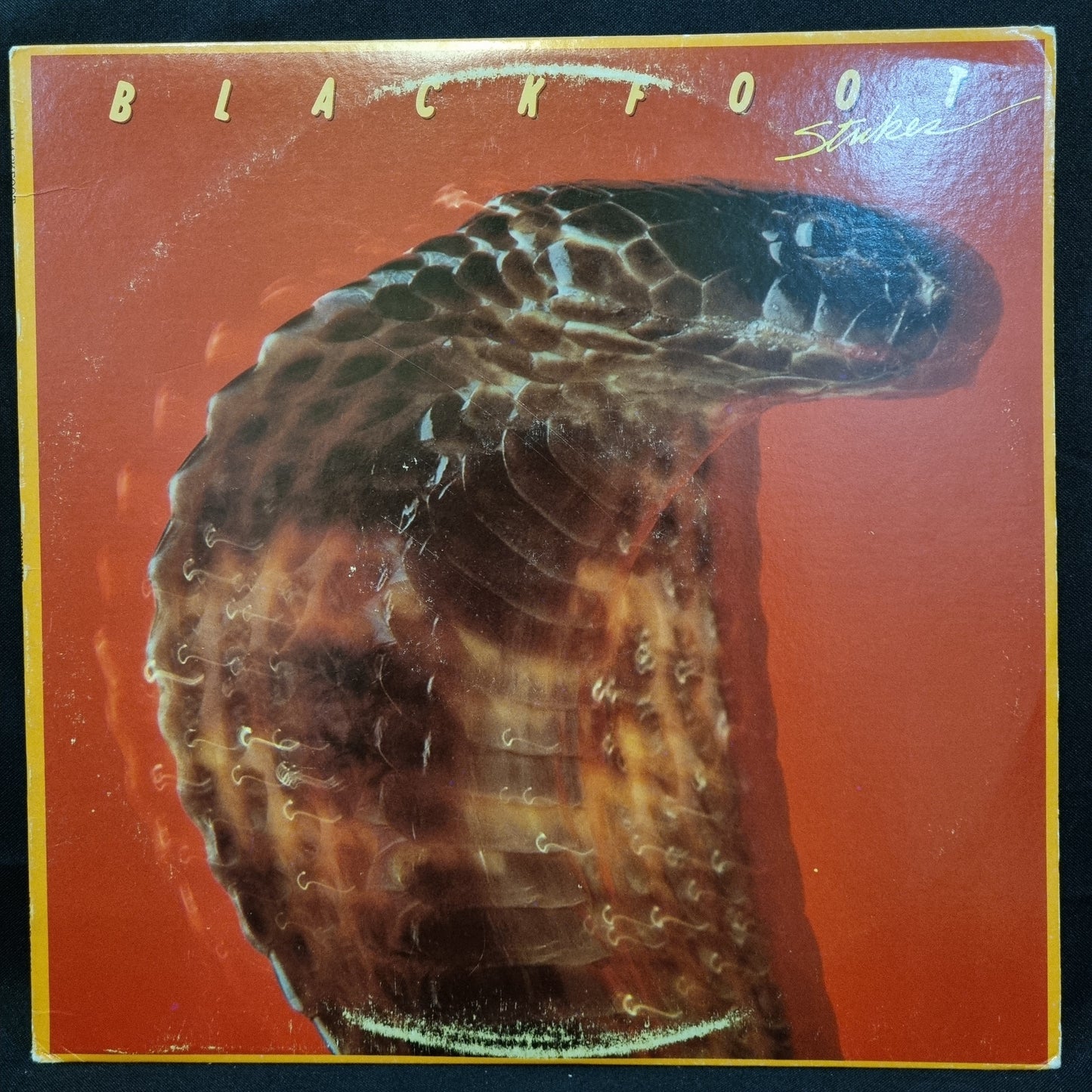 Blackfoot- Strikes