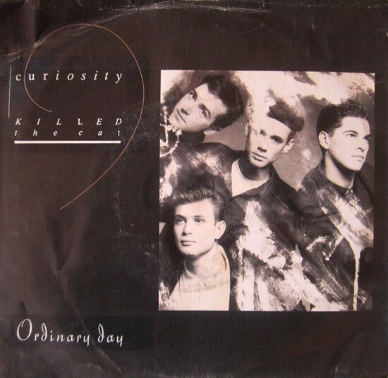 Curiosity Killed The Cat- Ordinary Day 7"