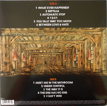 The Strokes - Room On Fire
