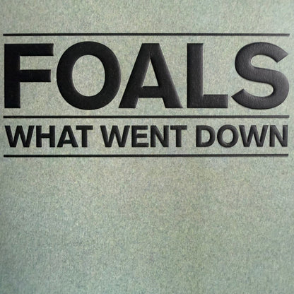 Foals - What Went Down